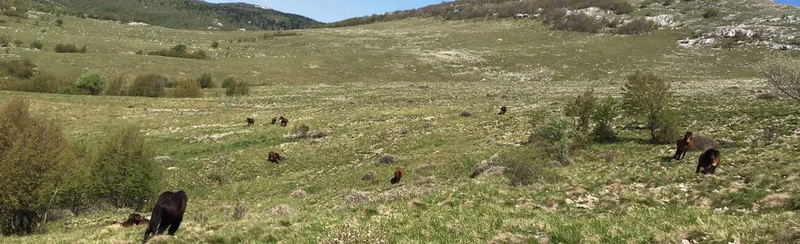Planinarski izlet za djecu MUDNA DOL - subota, 19. 10. 2024.