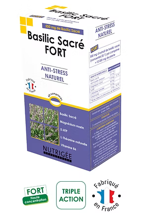 Basilic Sacré fort