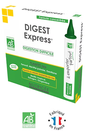 DIGEST Express