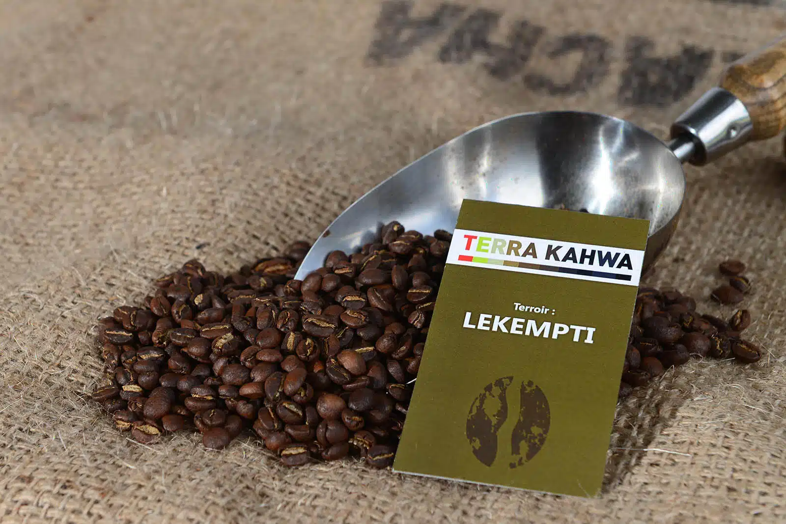Lekempti (Typica, Nature) Doux et équilibré