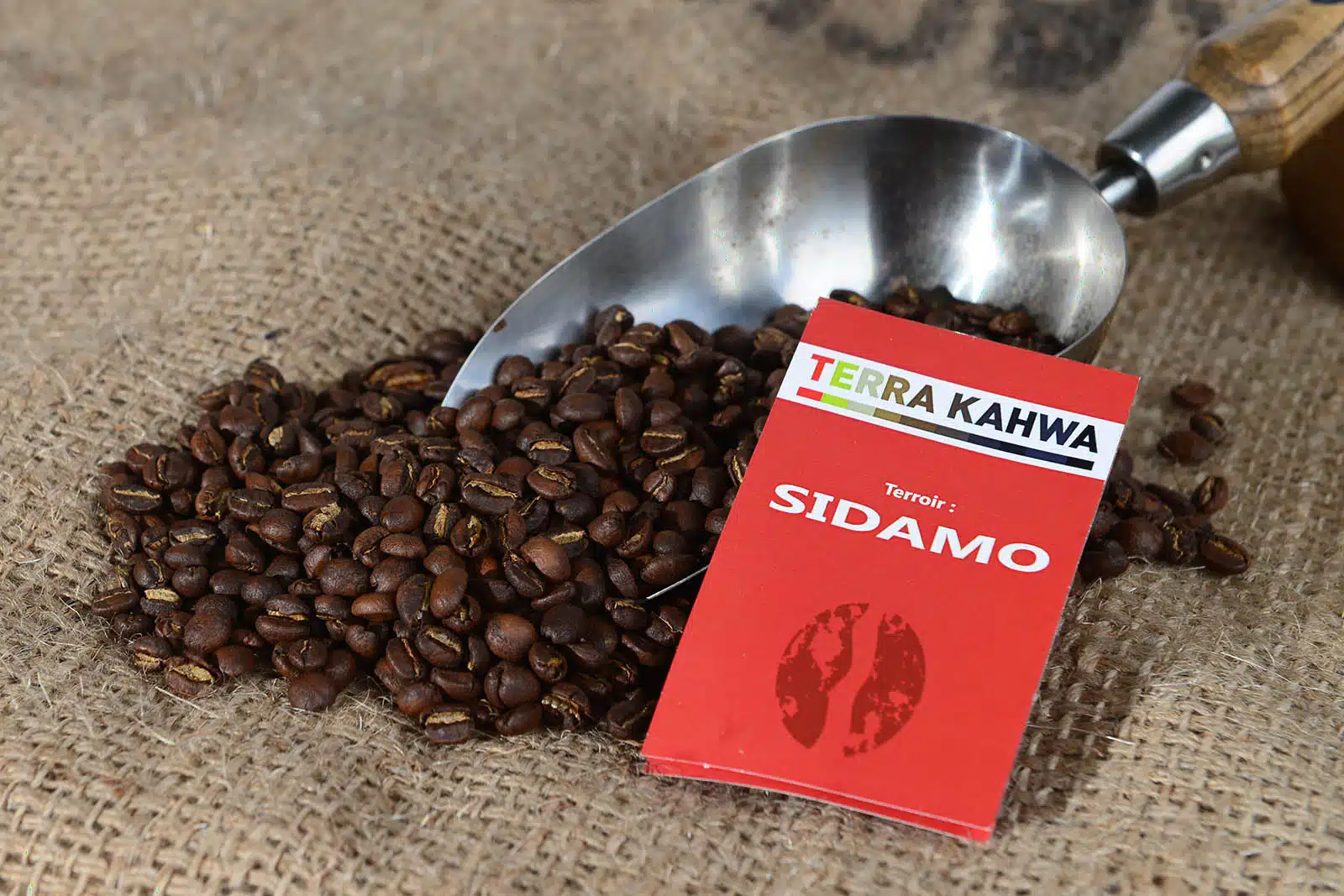 Sidamo (Habeje, Lavé) Arôme suave, saveur fine, chocolaté