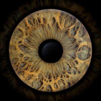 Iridologie