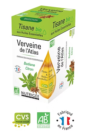 Verveine de l’Atlas