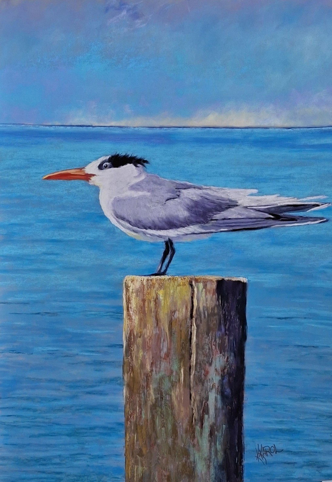 Royal Tern Dockside