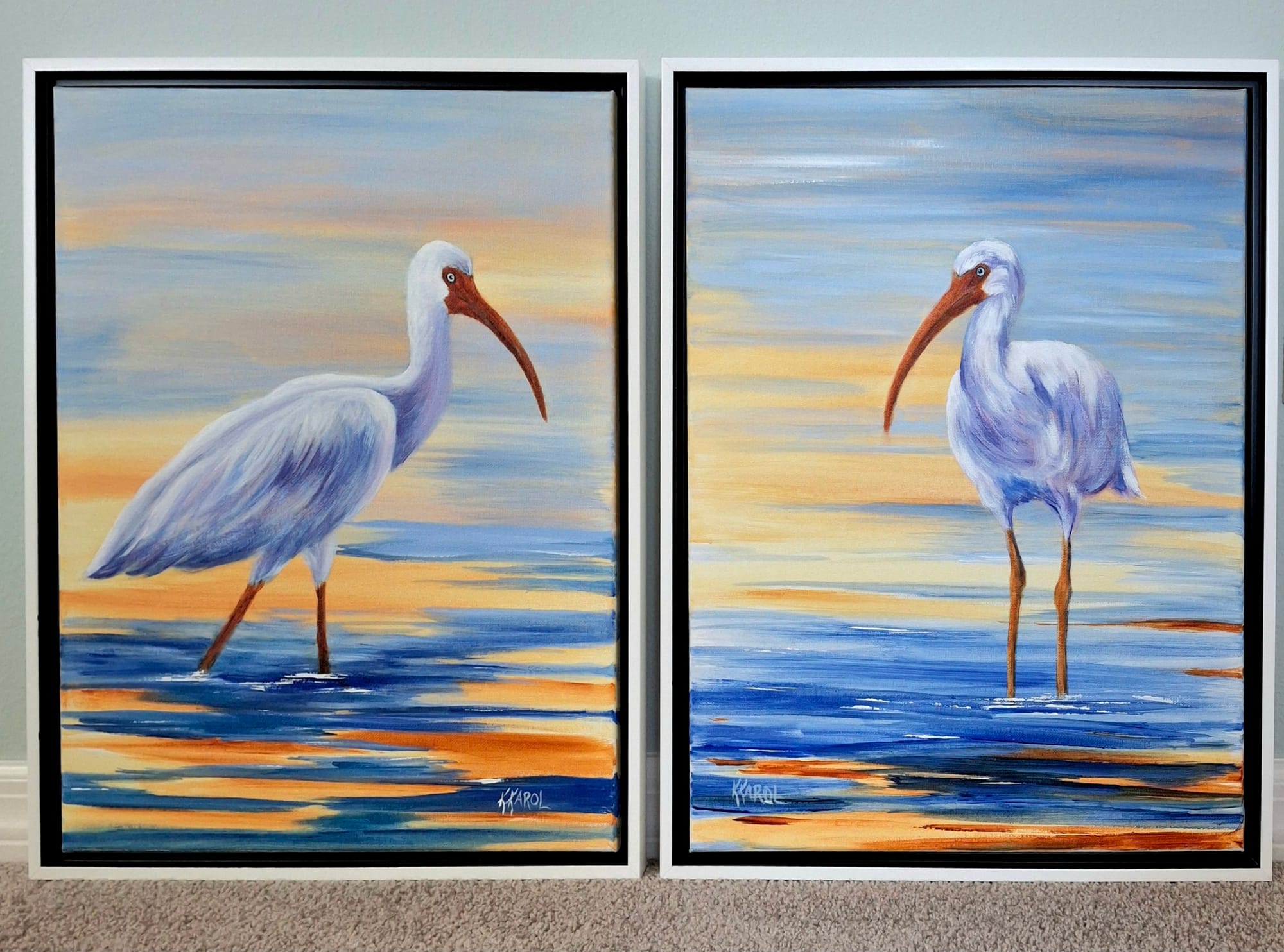 Ibis I and Ibis II