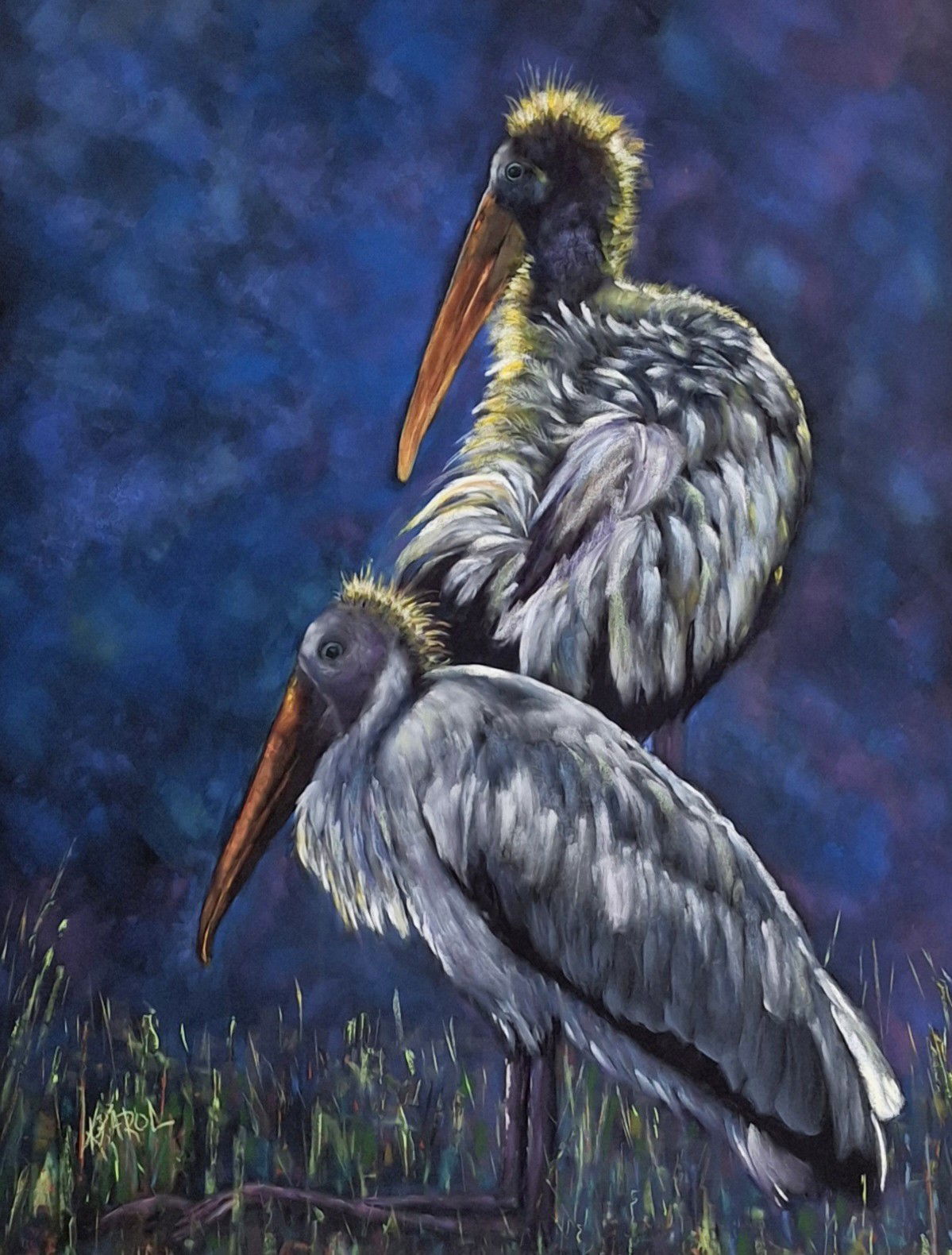 Wood Stork Wonder Years