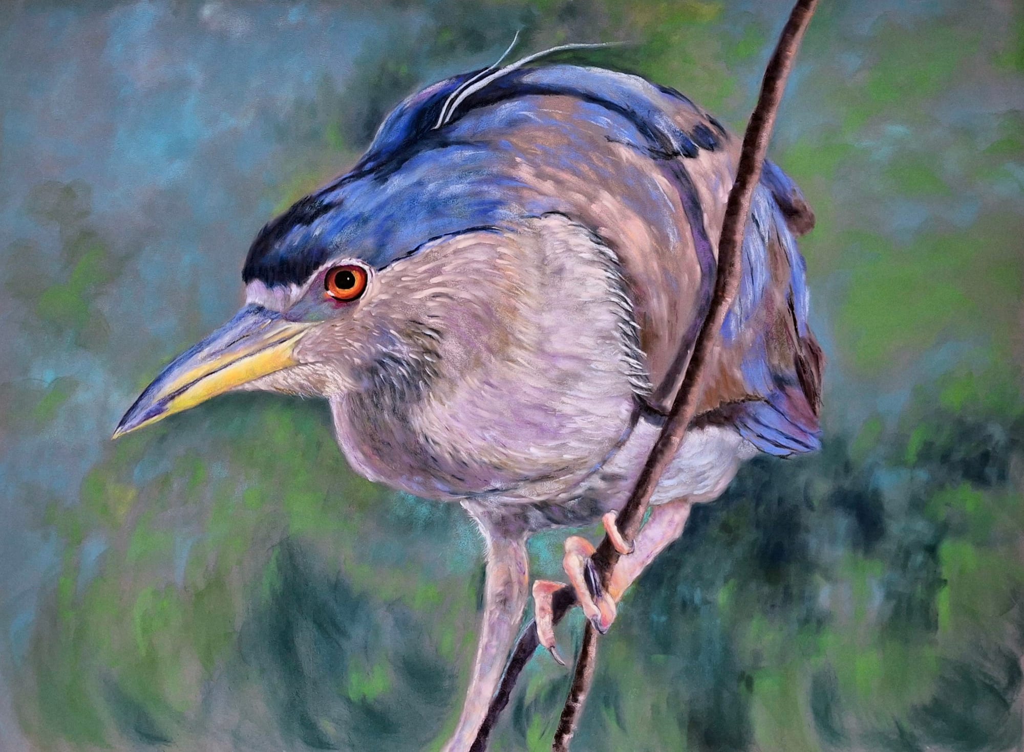 Got My Eye on You (Night Heron)