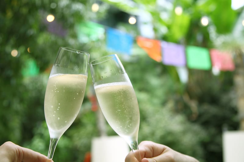 POSTPONED Summer Drinks Party 2025