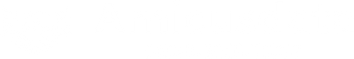 AMICUSDATA