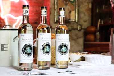 MEZCAL DE PODER EN MOVIMIENTO  image