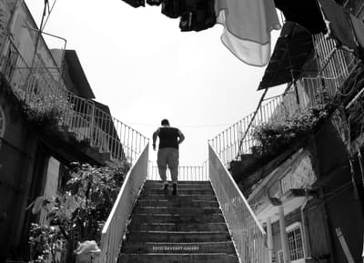 bienvenida image