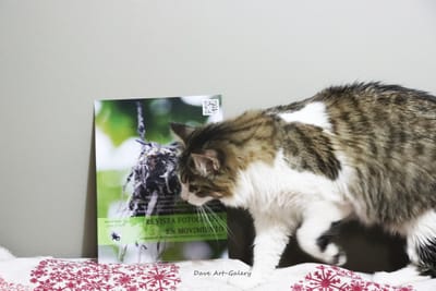 Participa en las Exposiciones Virtuales Colectivas e Individuales image