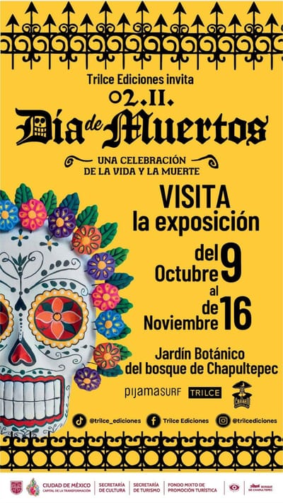 Día de Muertos una celebración de la vida y la muerte image