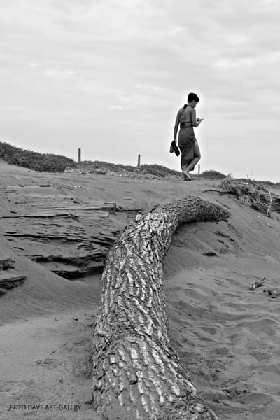 FOTOGRAFÍA DE PORTADA image