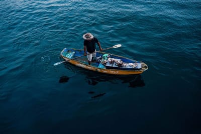 FOTOGRAFÍA DE PORTADA image