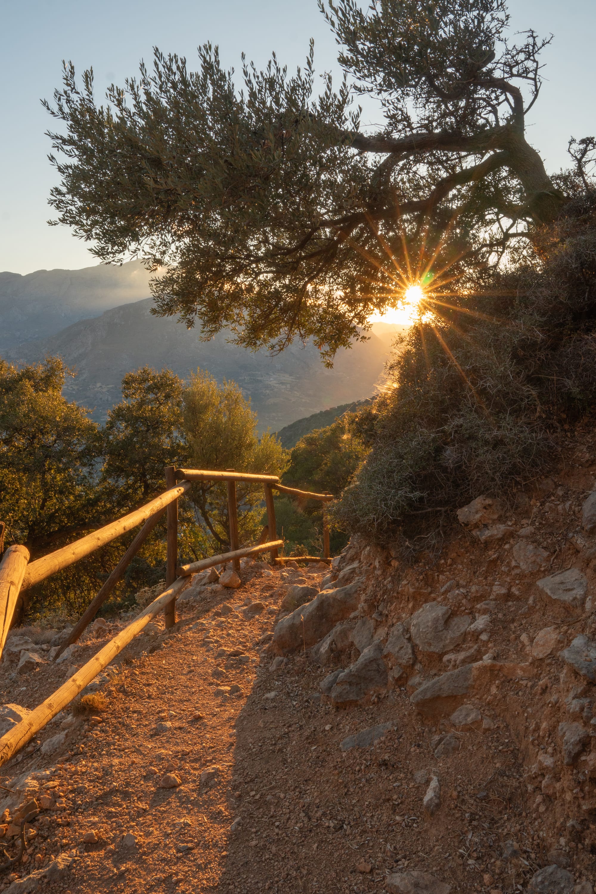 為合而為一祈禱