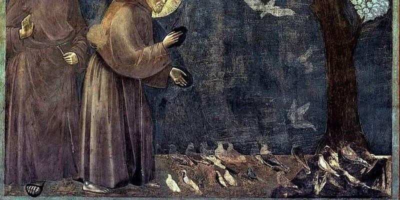 29. 麻雀和百靈鳥