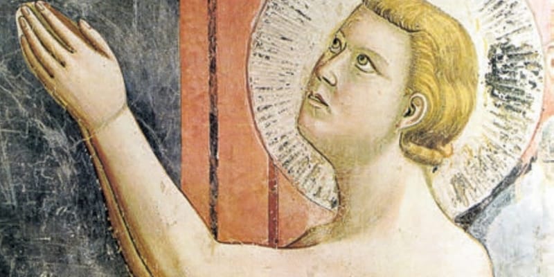 33. 古比歐的野狼