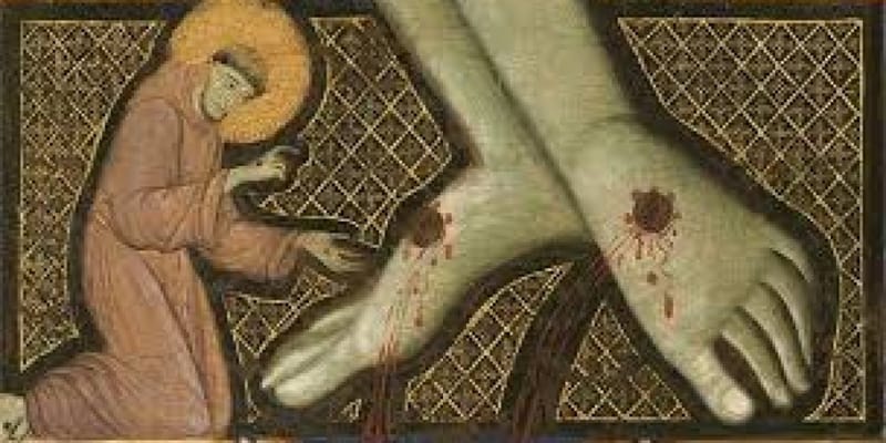 57. 山上的長壽花