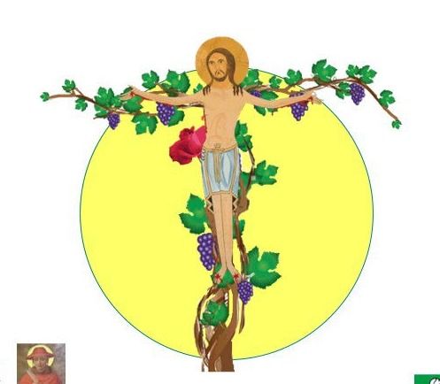 奧秘葡萄樹 / 14-17章