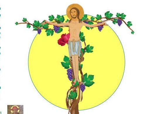 奧秘葡萄樹 / 24章