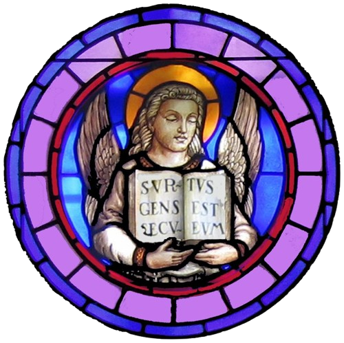 1月11日：主日福音