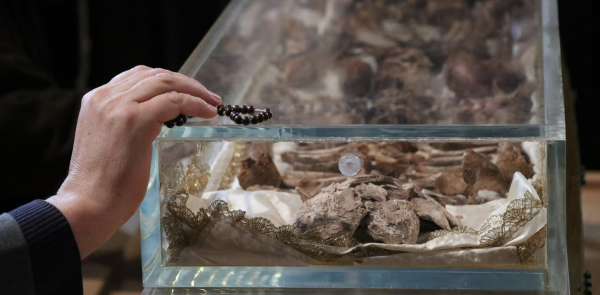 在亞西西瞻仰聖方濟遺骸：朝聖者的靈性經驗