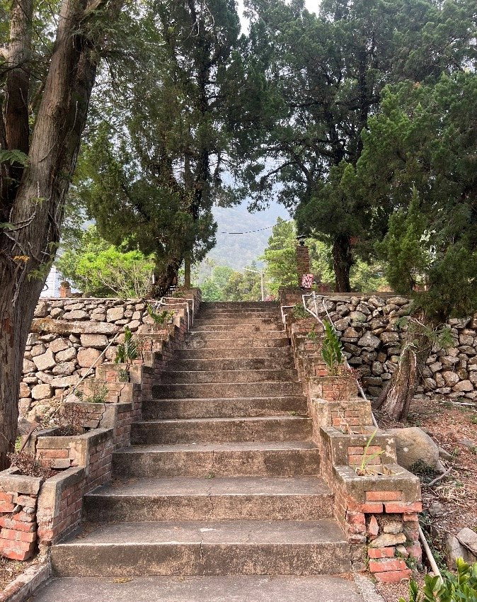 青年們歡聚在地利