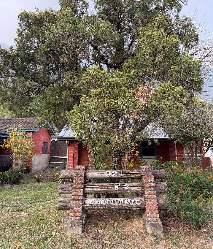 青年們歡聚在地利