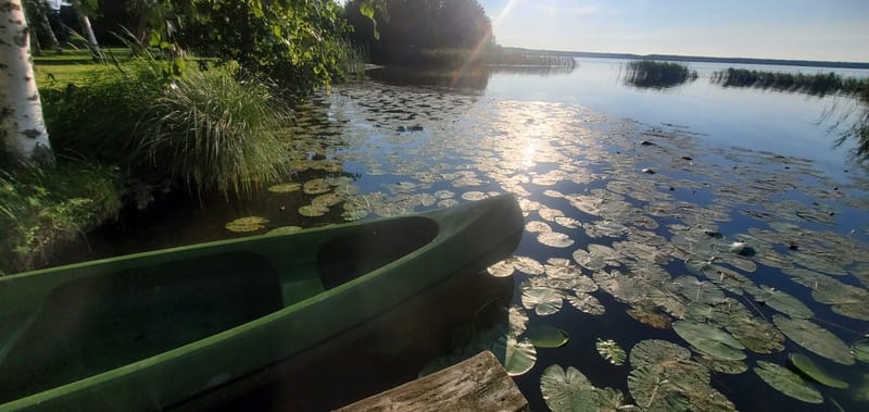 A revocation for clearing deep layers of dis-unity programming and full sovereignty.