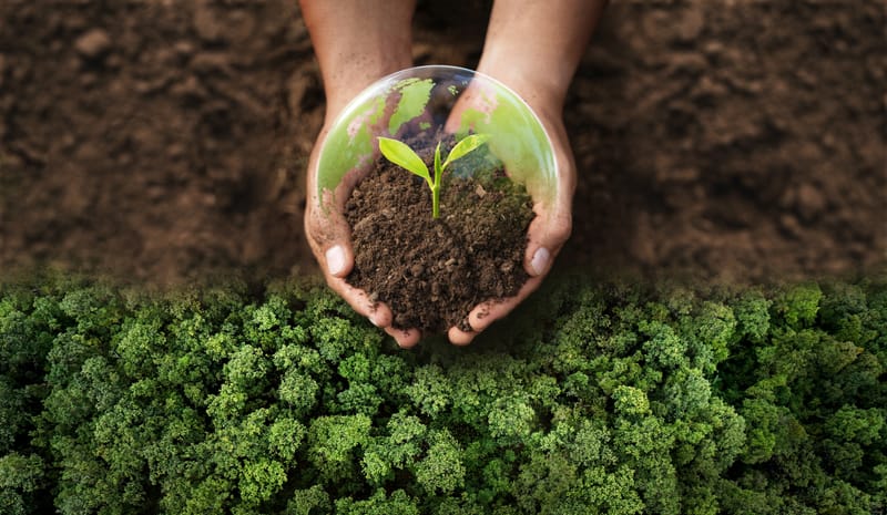 Your Environment is Training Your Brain