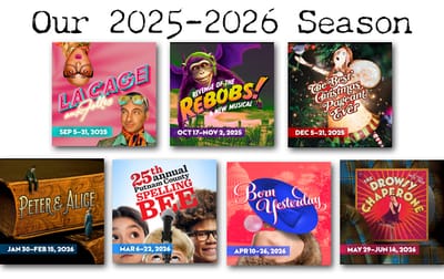 SINGLE SHOW TICKETS image