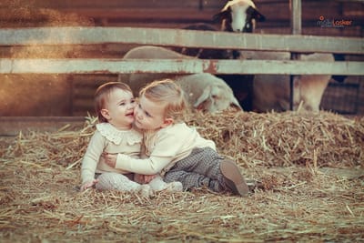 עיזה מכניסה אורחים