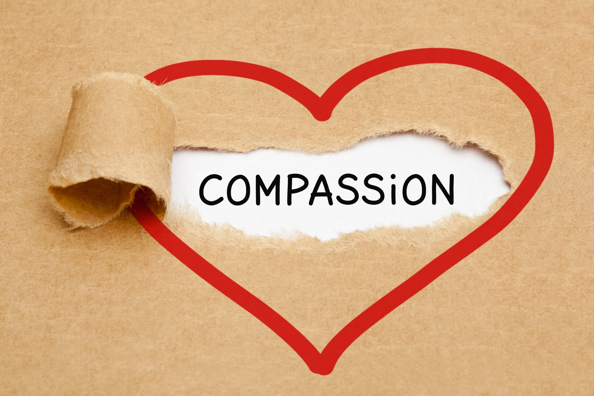 la compassion
