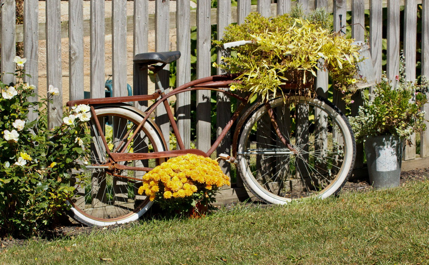 <<<<<<<<<<<<>>>>>>>>>>>>