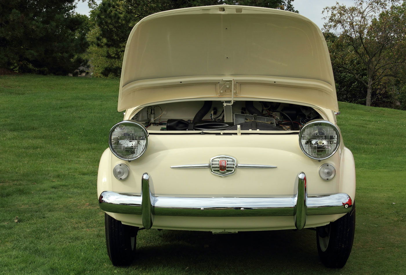 People, Animals, and Things