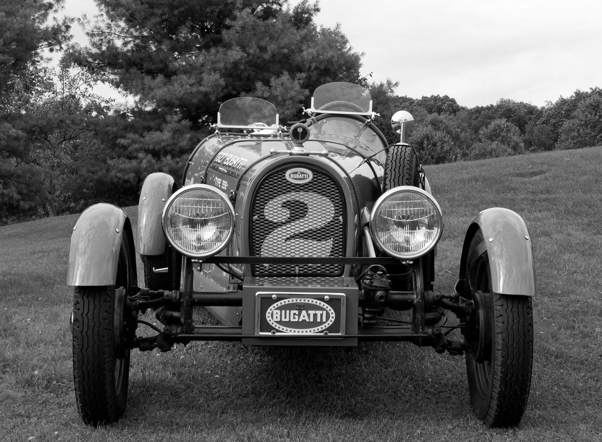 People, Animals, and Things