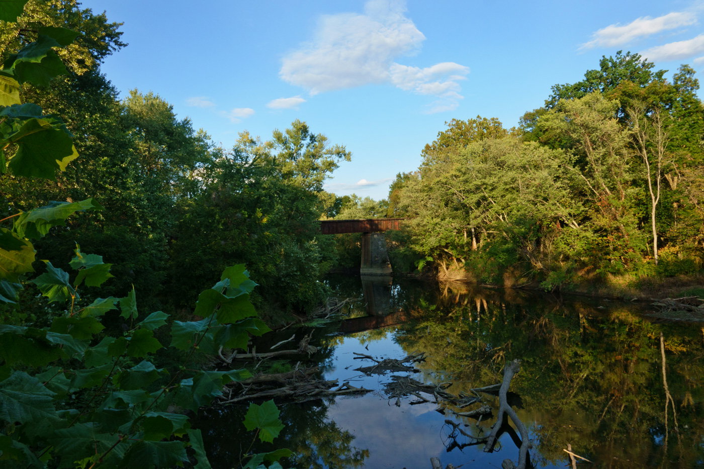 Local Scenes