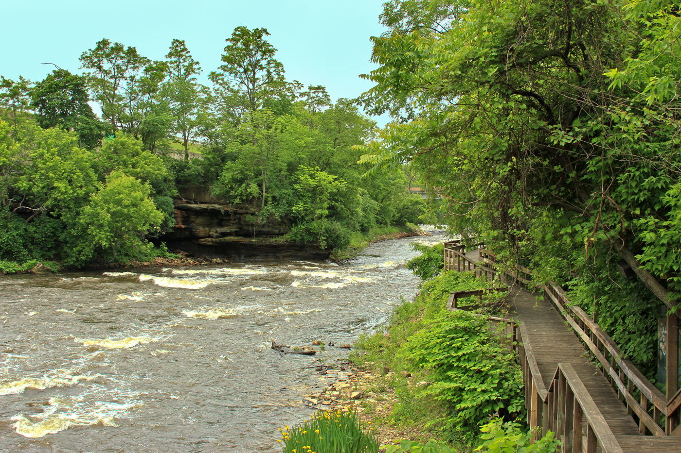 Local Scenes