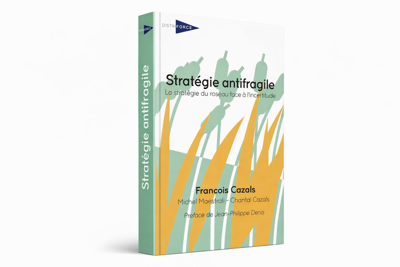 Formation "Stratégie antifragile"