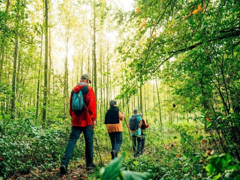 Balade Nature & Connexion Authentique