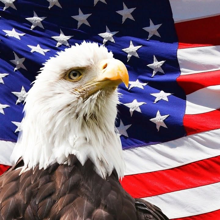 Thanks To Our Yanks