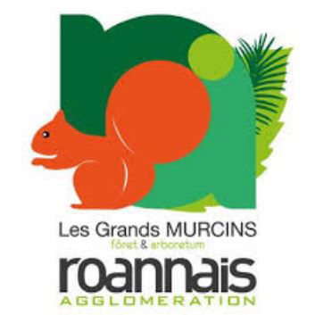la fête des grands murcins