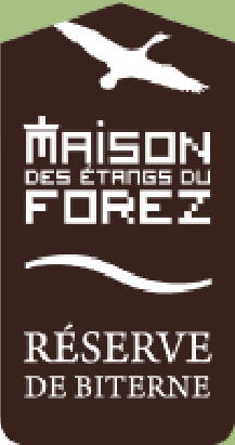 Nuit des étoiles à la réserve de Biterne