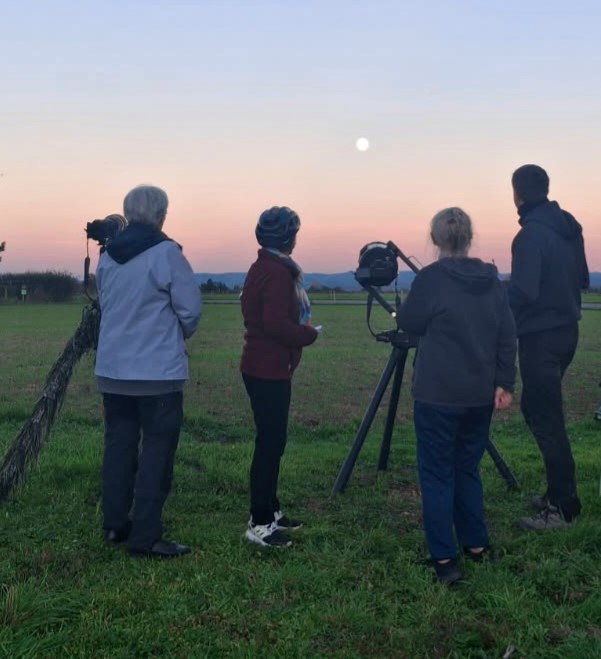Observation publique du ciel nocturne
