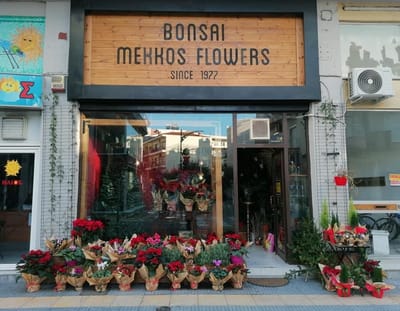 BONSAI MEKKOS