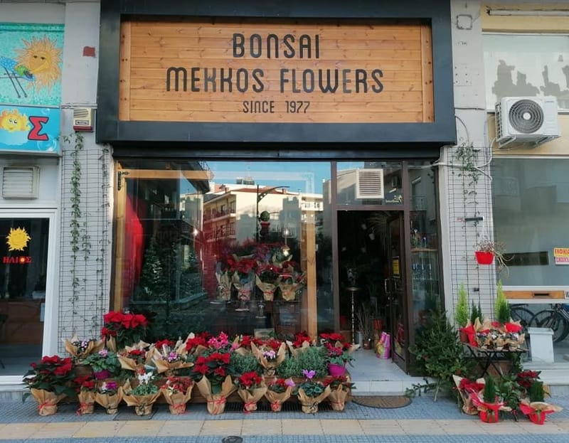 Bonsai Mekkos Flowers