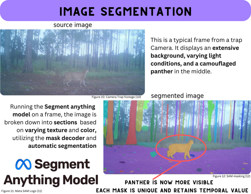 Animal Identification