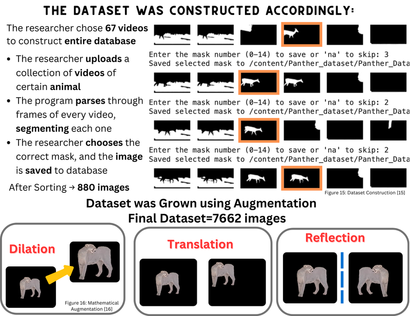 Animal Identification