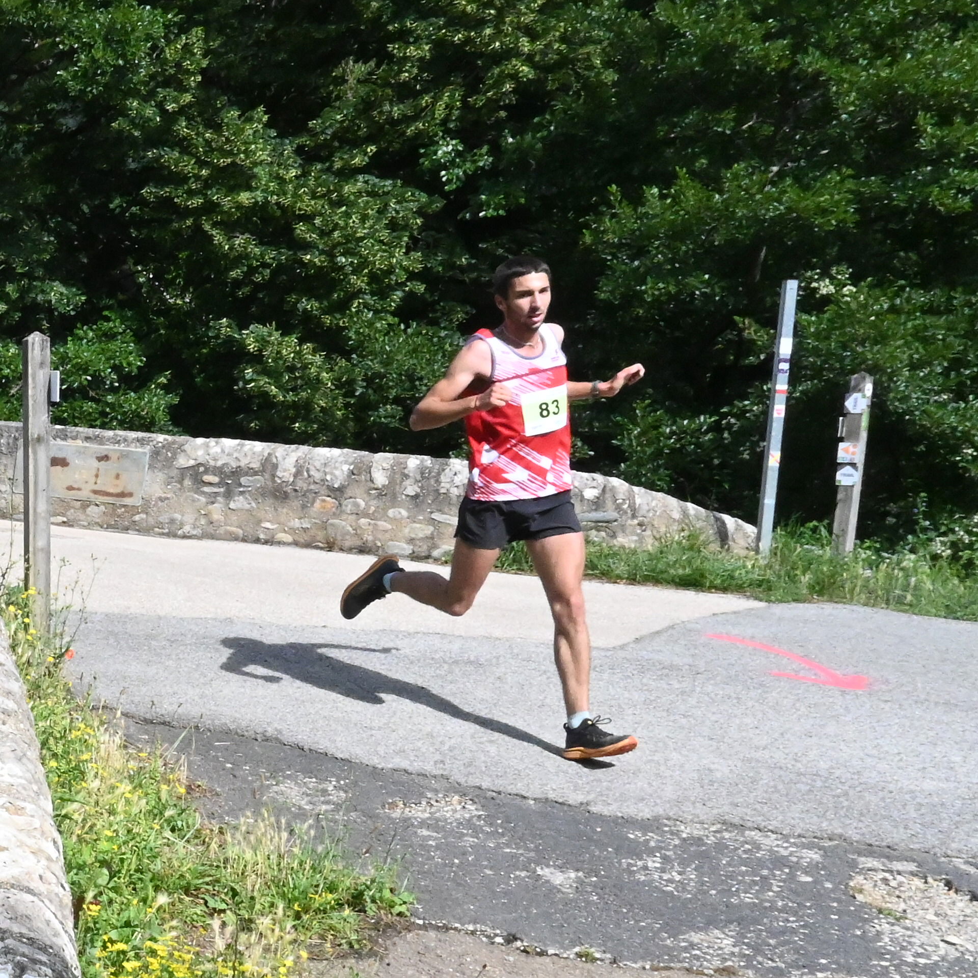 26ème édition des Sentiers de la Fraise 